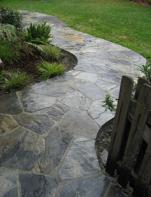 flagstone walkway along green plants